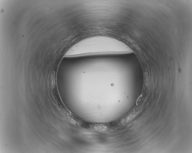 X0000060810471200511101041