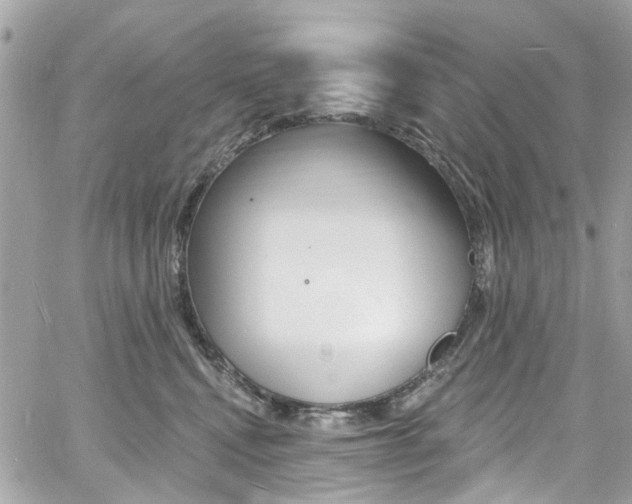 X0000060810472200511101041