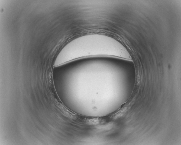 X0000060810473200511101041