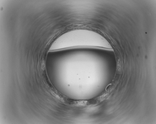 X0000060810474200511101041