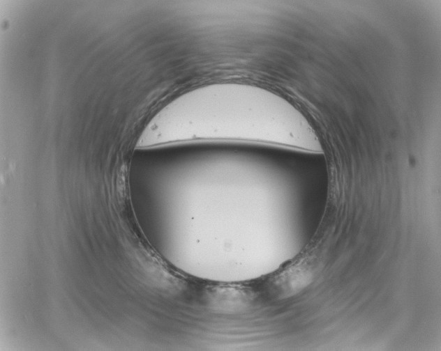 X0000060810475200511101041