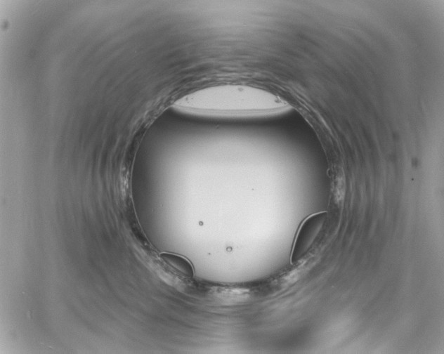 X0000060810476200511101041