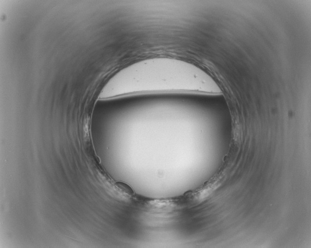 X0000060810477200511101041