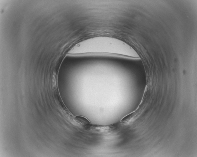 X0000060810478200511101041