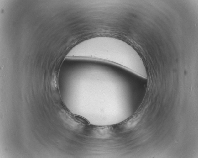 X0000060810479200511101041