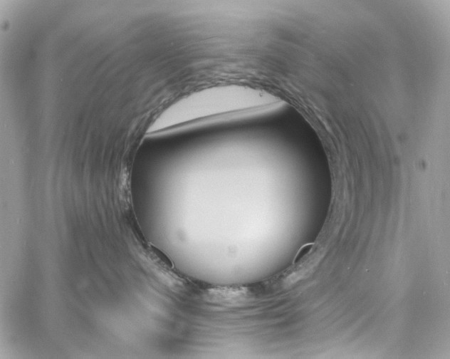 X0000060810480200511101041