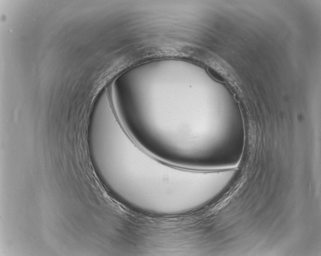 X0000060810481200511101040