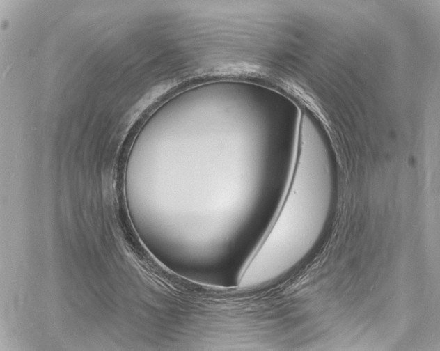 X0000060810483200511101040