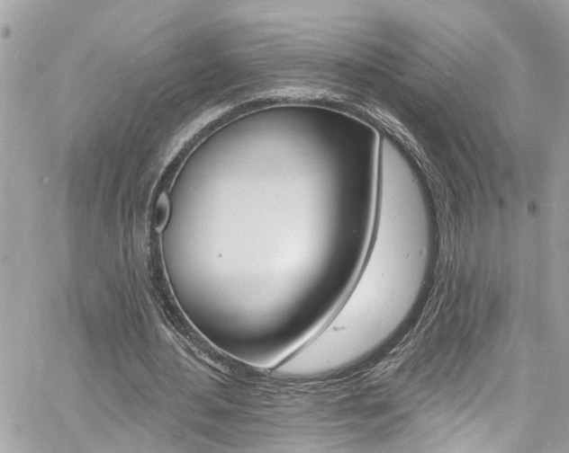 X0000060810484200511101040