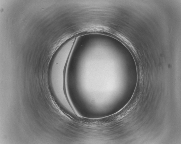 X0000060810485200511101040