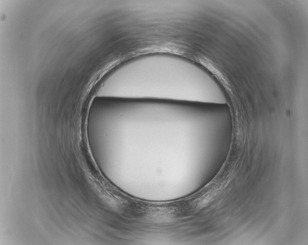 X0000060810486200511101040