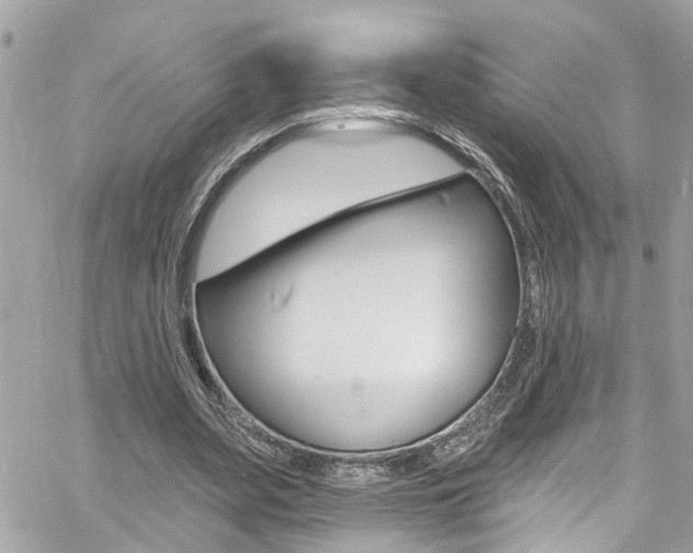 X0000060810487200511101040