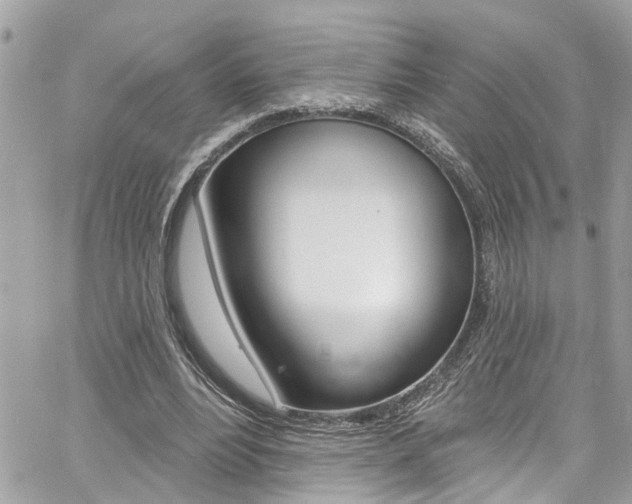 X0000060810488200511101040