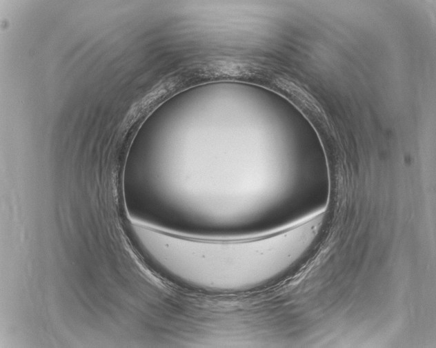 X0000060810489200511101040