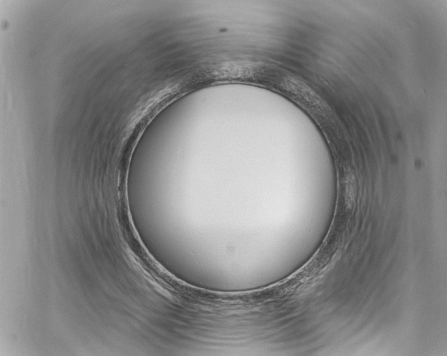 X0000060810490200511101040