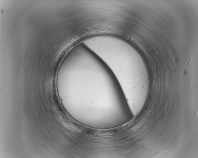 X0000060810491200511101040