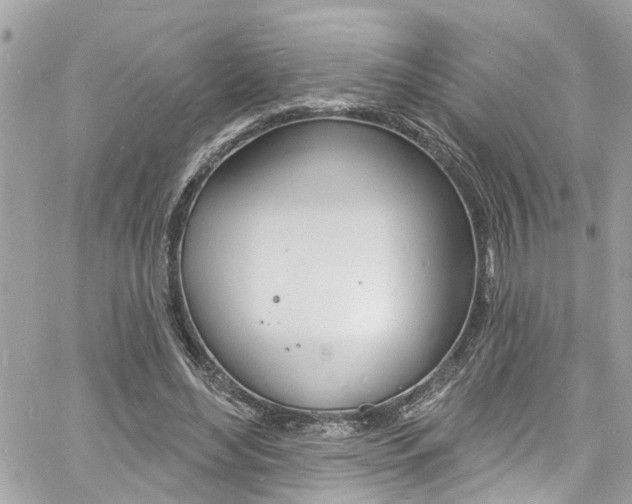 X0000060810492200511101040