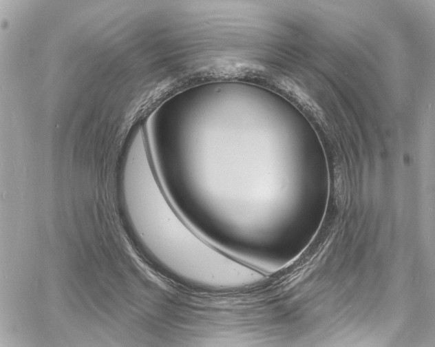 X0000060810493200511101040