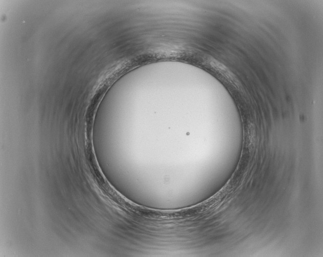 X0000060810494200511101040