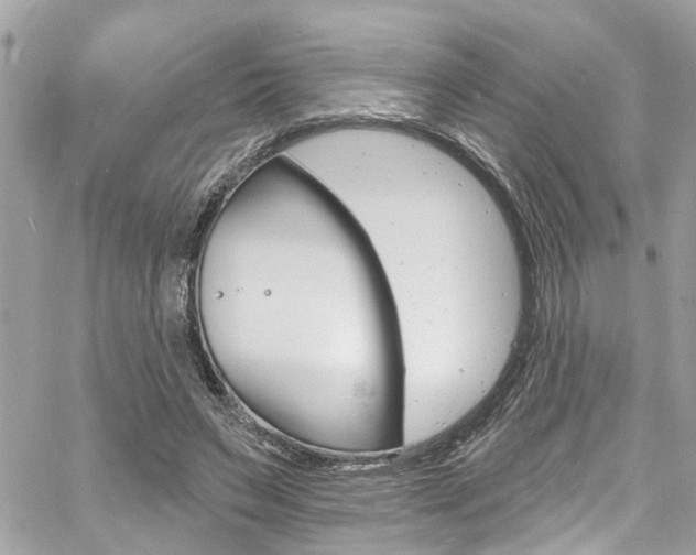 X0000060810495200511101040