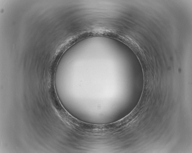 X0000060810496200511101040