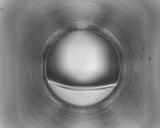 X0000060810497200511101040