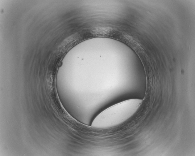 X0000060810498200511101040