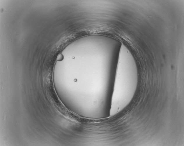 X0000060810499200511101040