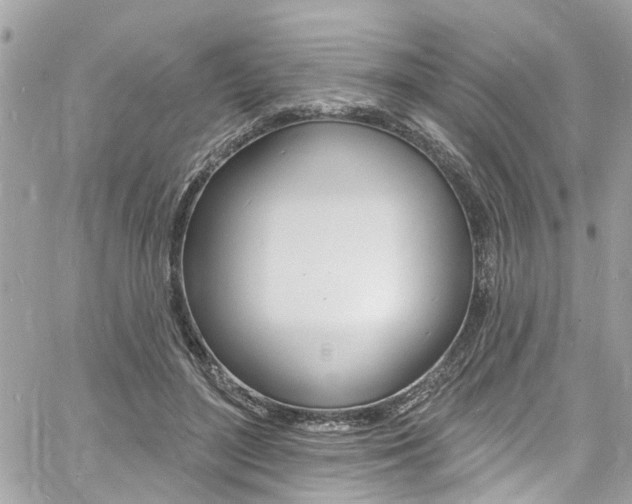 X0000060810500200511101040