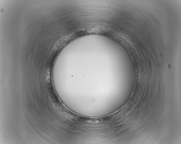 X0000060810502200511101040