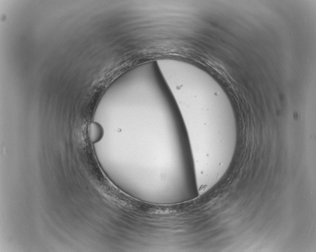 X0000060810503200511101039