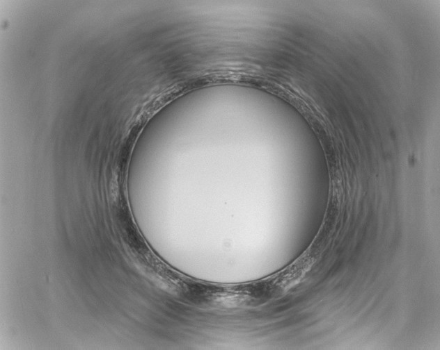 X0000060810504200511101039