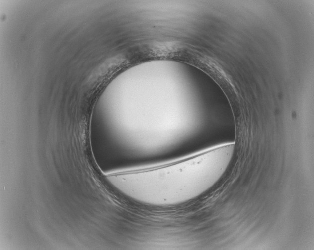 X0000060810505200511101039