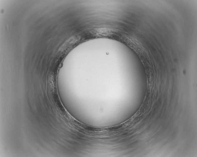 X0000060810506200511101039