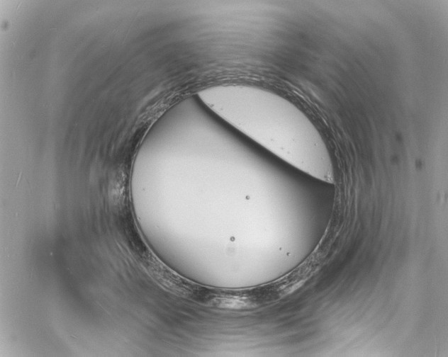 X0000060810507200511101039