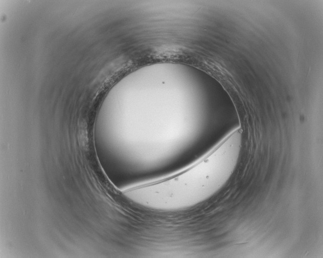 X0000060810508200511101039