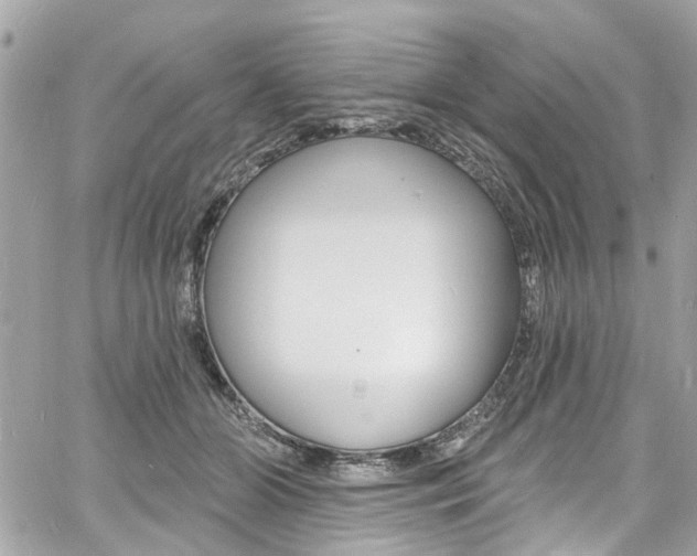 X0000060810510200511101039