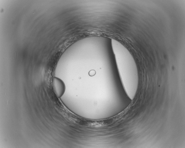 X0000060810511200511101039