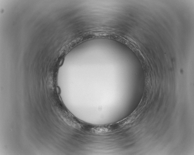 X0000060810512200511101039