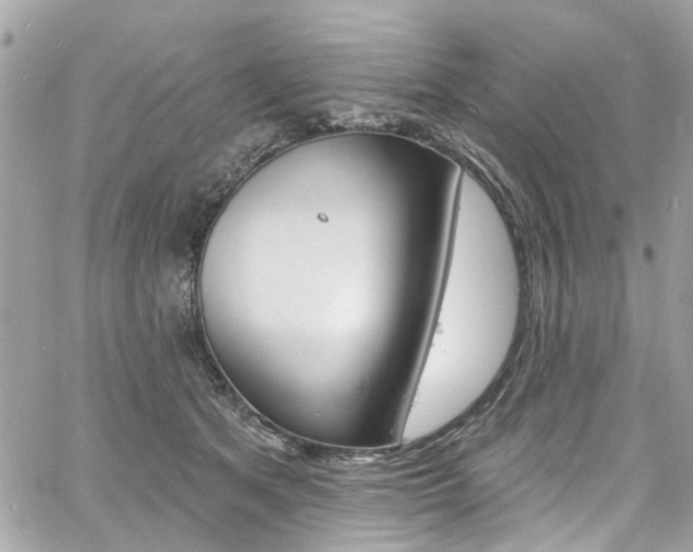 X0000060810513200511101039