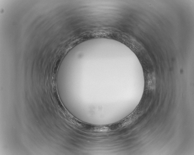 X0000060810514200511101039