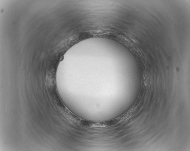 X0000060810515200511101039