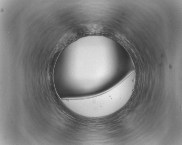 X0000060810516200511101039