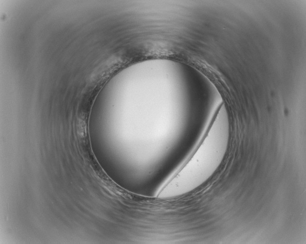 X0000060810517200511101039