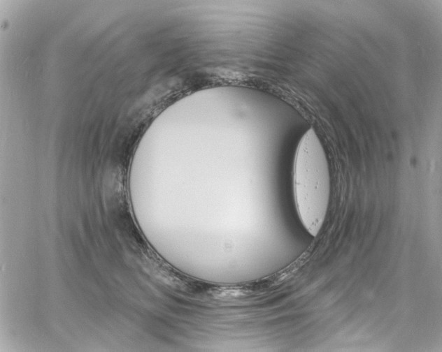 X0000060810518200511101039