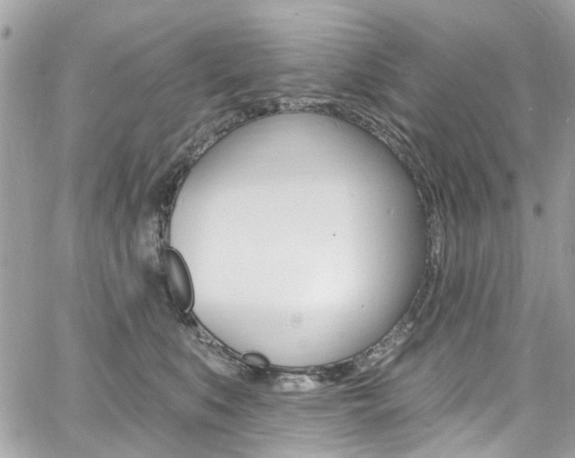 X0000060810519200511101039