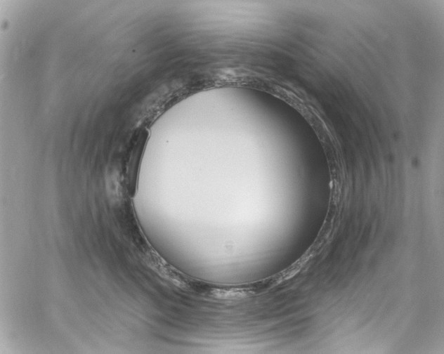 X0000060810520200511101039