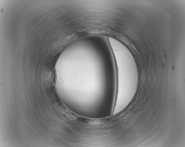 X0000060810521200511101039