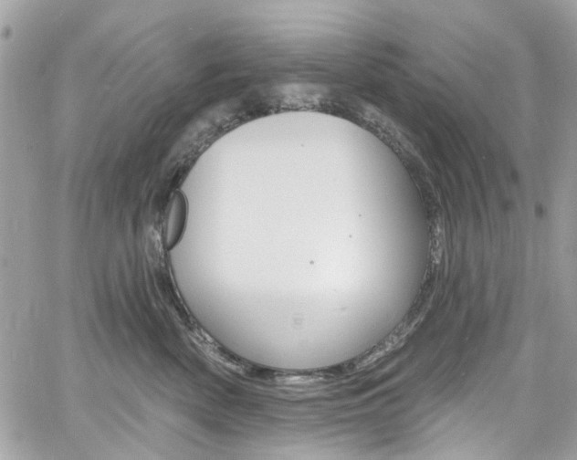 X0000060810522200511101039