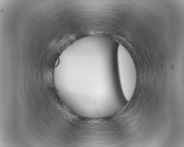 X0000060810523200511101039